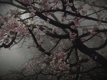 [22:46] #рек #реки #pyf #japanesesong #текстпесни 