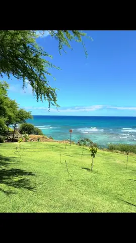 #hawaii #oahu #honolulu  #wakikibeach 