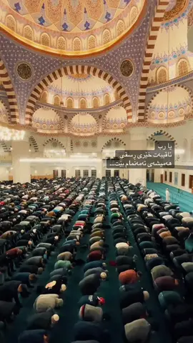 خودایە لە دونیا خەممان ڕازی بوونی تۆبێ و کۆتایشمان دڵخۆشی گەیشتن بە تۆبێ…الهم امین🤍 #اللە #رب #رحمان #دوعا #ئاقیبەت  