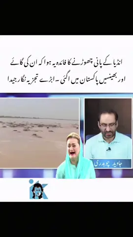انڈیا کے پانی چھوڑنے کا فائدہ یہ ہوا کہ ان کی گائے اور بھینسیں پاکستان میں اگئی ۔ بڑے تجزیہ نگار #foryou #foryoupage #fyp #everyone 