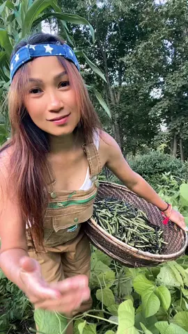 When you have a good harvest #mongbeans #gardeninginspiration #highlights 