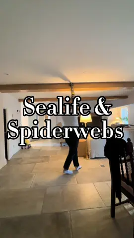 A Wednesday vlog  6.30 walk, bullring, @SEA LIFE UK @YO! the child friendly service was incredible, @Lola's Cupcakes , kitchen tidy, dishwasher, utility, hoovering, dinner, bath, bed & the rookie.  #momtok #mumtok #ditl #sahm #toddlermum #Lifestyle #mummyvlog #fyp #ForYou 