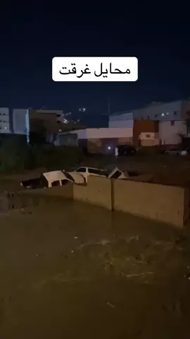 سيول #محايل 