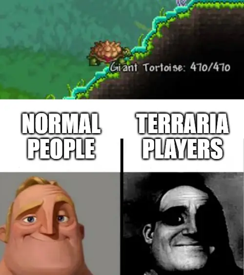 #terraria #humor  #terrariamemes  #xd #meme