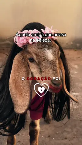 O coração foi a mil... Foi logo amor! #creatorsearchinsights #trend #cabra #fyppage #funny 