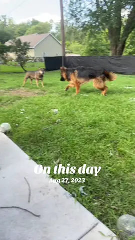 #onthisday 