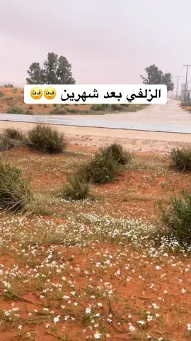 اهخخ الله يعجل به 🥹#explore #zulfi 