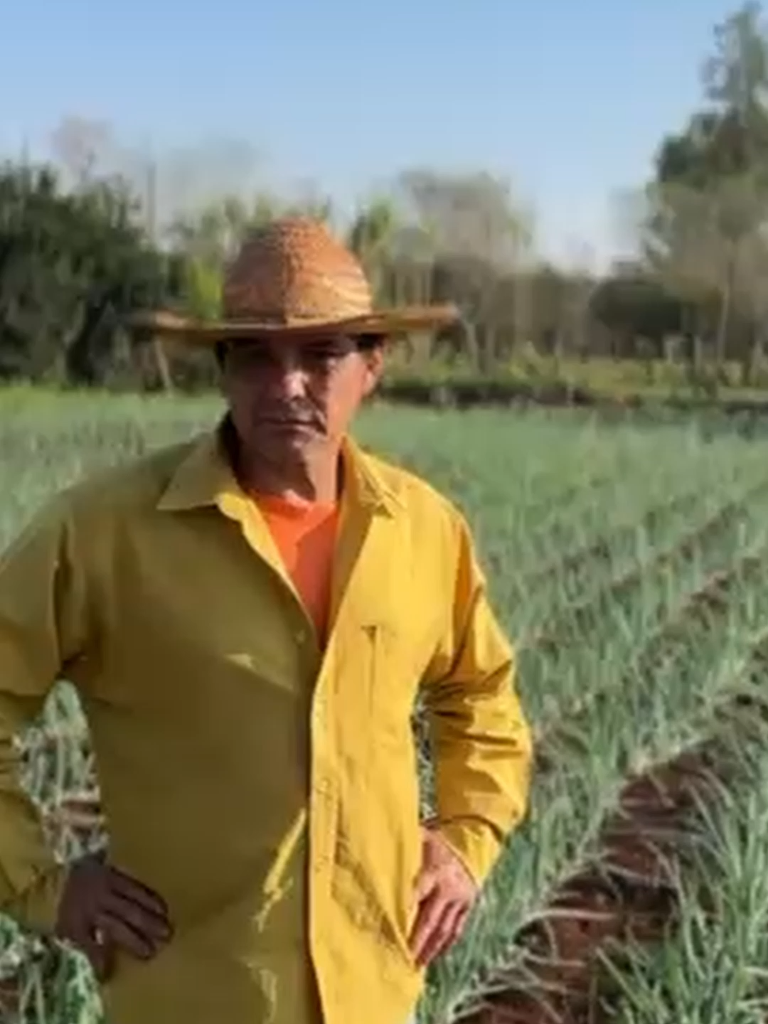 Resultados que se ven! Proceso de cebolla Alborada de alta calidad. 🧅💪 El productor Marciano Rotela nos muestra cómo una buena nutrición es clave para el éxito. En su cultivo, se implementó un plan nutricional con: ✅ Magnesiogreen ✅ Greenplant 10-50-10 ✅ Greenplant 13-08-24 El video lo demuestra: plantas sanas y una producción uniforme. Agradecemos la confianza del productor y felicitamos al Ing. Isrrael Moreira por su apoyo técnico en campo. 🚀 #Cebolla #AltoRendimiento #NutricionVegetal #Magnesiogreen #ResultadosEnCampo #Agronomia #ManejoDeCultivos #HorticulturaModerna #AgriculturaDePrecision