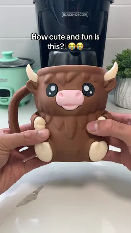 The cutest cow 🐮❤️