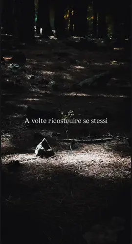 #rinascita 