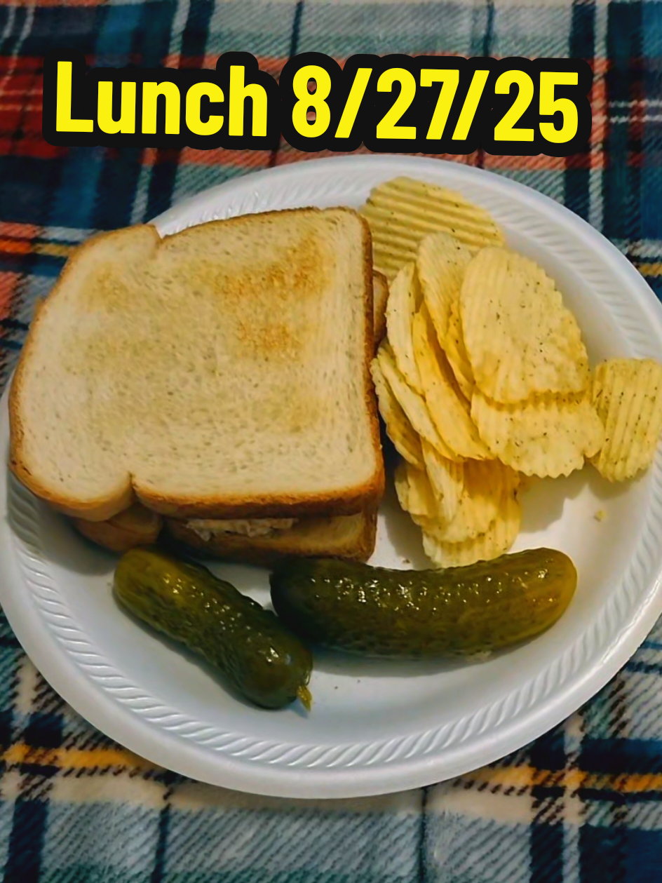 Lunch 8/27/25: ✨️A lemon pepper tuna sandwich with dill pickle slices, two Best Maid Polish style gherkins, some sour cream & onion Ruffles, and a zero sugar cherry 7up on the side✨️ #whatieatinaday #food #lunch #lunchtime #gwenstefani 