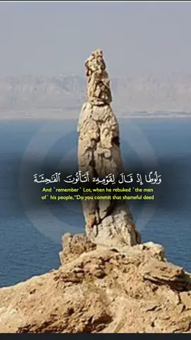 #CapCut#QURAN_KAREEM#QURAN#islamic_video#fyyyyyyyyyyyyyyyy 