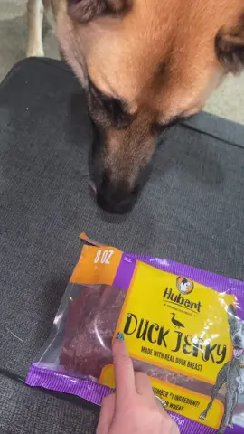 #DogTreats #DogsOfTikTok #hubertdogtreats #duckjerky #dogduckjerky 