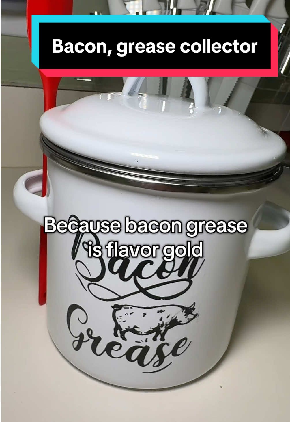 Save that liquid gold the easy way with this bacon grease container and strainer 🥓✨ #KitchenEssentials #BaconLovers #CookingMadeEasy #FoodieFinds #KitchenGoals