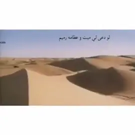 #في هذا اليوم 