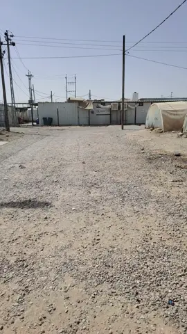 #مخيم الجدعه ذكره لن تنسي