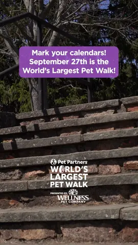 Get moving! 👟 The 8th Annual World’s Largest Pet Walk by @petpartners is on Saturday, September 27th! We’re proud to be part of this special event as the presenting sponsor again this year. Sign up at the link in our bio! #PetsOfTikTok #pettok #wellnesspetfood