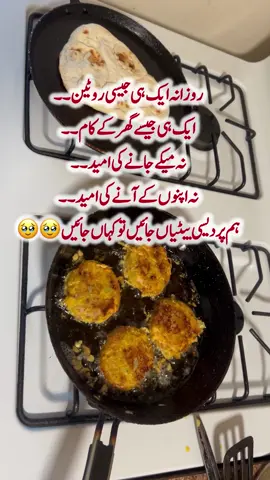 🥹🥹🥹🥹 #fypシ゚viral #pardesibeti #missinghome #trending 