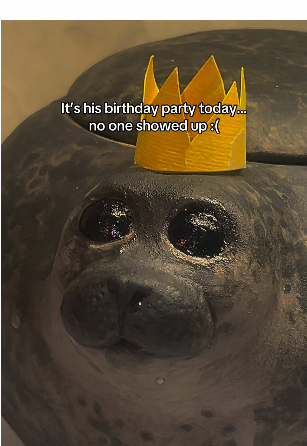 His friends were too busy but at least he has a cake to himself #seals #sealcore #seal #sealtok