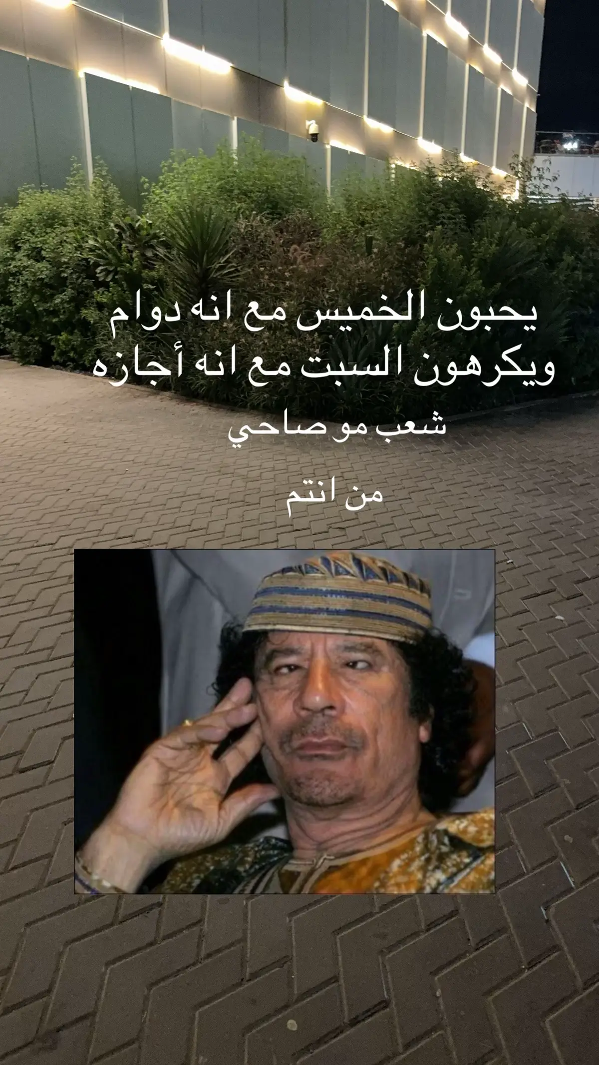 #اكسبلور_explore 