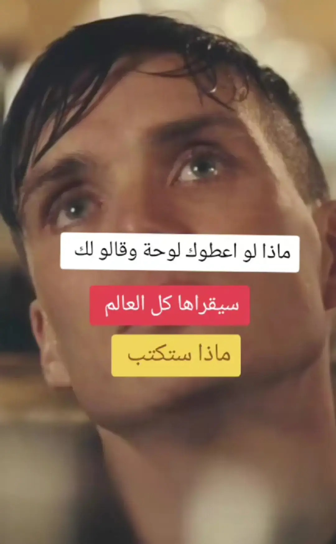 #توماس_شيلبي #ترجمة 