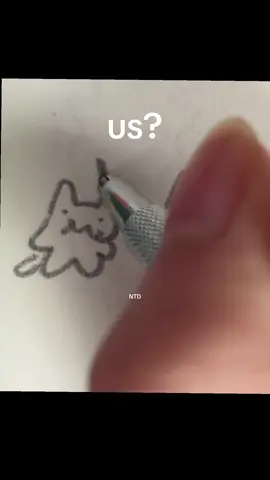 us??? #foryou #art #doodle #cat #fyp 