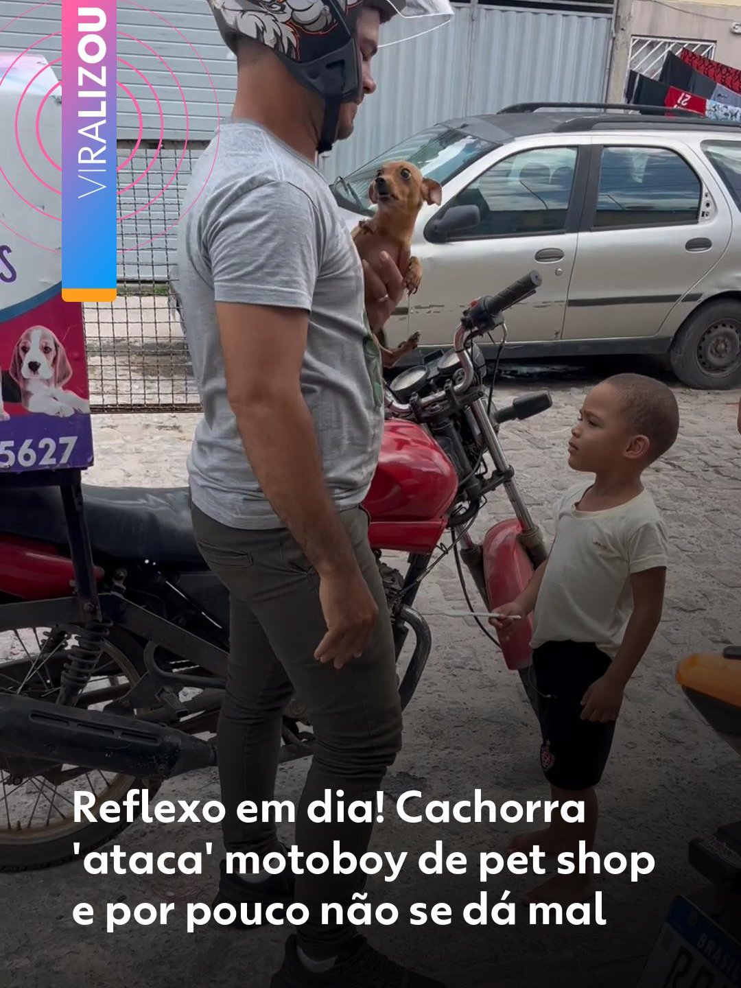 🐕#Viralizou - Uma cachorrinha mostrou que não queria saber de banho! Ao ser entregue para ir ao pet shop, ela atacou o motoboy e quase caiu no chão! Sorte que o reflexo dele estava em dia e, tirando o susto, deu tudo certo 😅 A cena aconteceu em Santo Antônio de Jesus, na Bahia, e viralizou.🛵 E o seu pet: já aprontou alguma desse tipo por aí?  Crédito: Jackfreiire_ | @myhoodbr Veja mais vídeos do #g1 em 'leia o artigo'. #Bahia #cachorro#petshop #motoboy #viral#g1viralizou