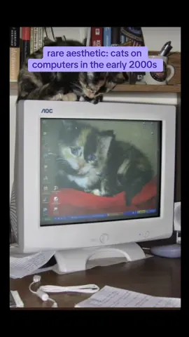 mentally i’m here #nostalgia #y2k #early2000s #cats 