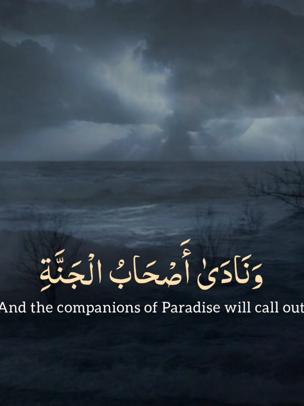 yasser al dosari quran recitation  #yasseraldosari #quranrecitation #islamic_video #muslim #viral 