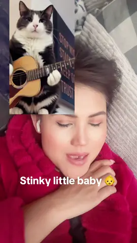 #funnycat #fyp #funnyvideo #catsoftiktok 