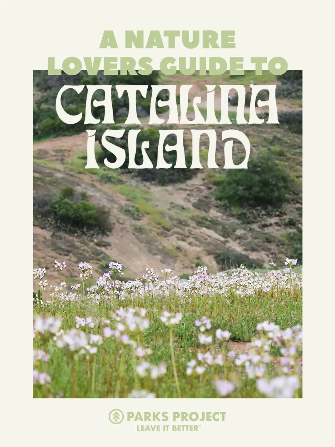A quick hop off the California coast takes you to Catalina Island 🌅 .…a place where rugged trails, rare plants, and ocean views remind us why it’s worth protecting. Swipe through for the ultimate guide on the island and check out some of our top recs below: 🥾 Trans-Catalina Trail 🌿 Ackerman Native Plant Nursery 🦊 The Naughty Fox Raise your hand if you’ve had the chance to visit 👋 and shop our Catalina Collection through our link in bio to compliment your next adventure 🔗  #parksproject #leaveitbetter #catalinaisland