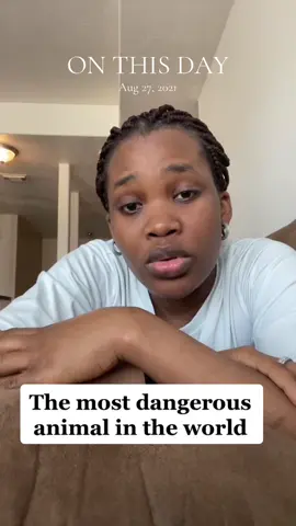 #onthisday #foryoupageofficiall #fypシ #bestmumnetwork #viralvideo 