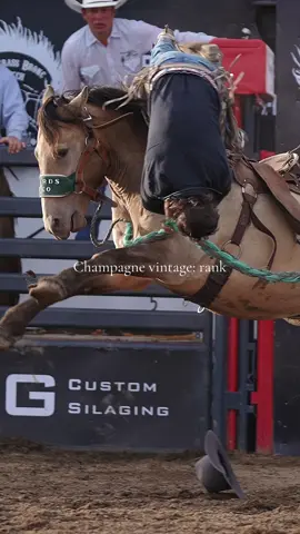 lol horse colour jokes #rarejoke #rankwrecks @Hardgrass Bronc Match ranch broncs 