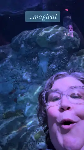 This was, without a doubt, the highlight of my weekend. I could have spent a whole day—no, the whole weekend—watching the #sharks and #eaglerays and #seaturtles swim 