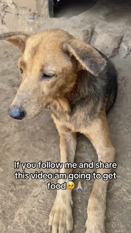 #dog 