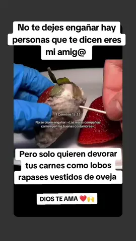 Aveces como cristiano debemos saber a quien abrir el corazón ♥️ por que no todos los que están a nuestro lado van a querer lo mejor para nosotros solo Dios es nuestro mejor amigo fiel♥️🙌♥️🙌