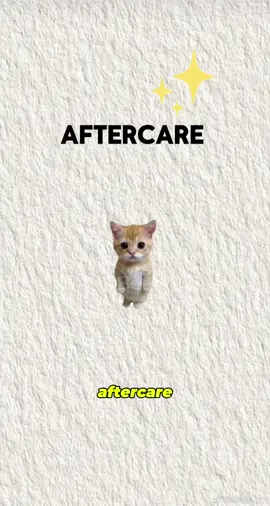 Aftercare explained By cat's #kittyexplained #cat #catanimation #beast 