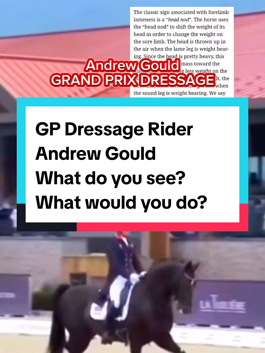 What do you see? What would you do?  #andrewgould #dressage #BRITISHDRESSAGE #grandprix #horsewelfare 