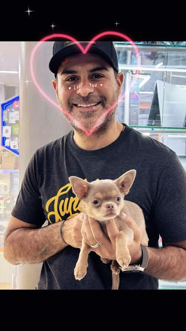 Me enamoré 🐶