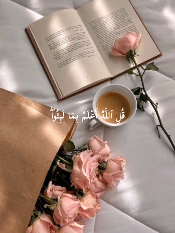 ﷽﴿واذكر ربك إذا نسيت﴾ 🤍  سبحان الله   الحمدلله   لا إله إلا الله   الله أكبر  سبحان الله وبحمده   سبحان الله العظيم #سورة_الكهف #مشاري_العفاسي #تدبروا_الايات🤍  #آلاءشريف #🖤آلاء⛓️ 