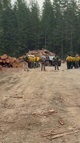 Shelton,WA Bear Gulch Fire. California Incident Management Team 7 Sent us to an assignment for cutting wood this morning after briefing and we ended up with this result unexposed to public.