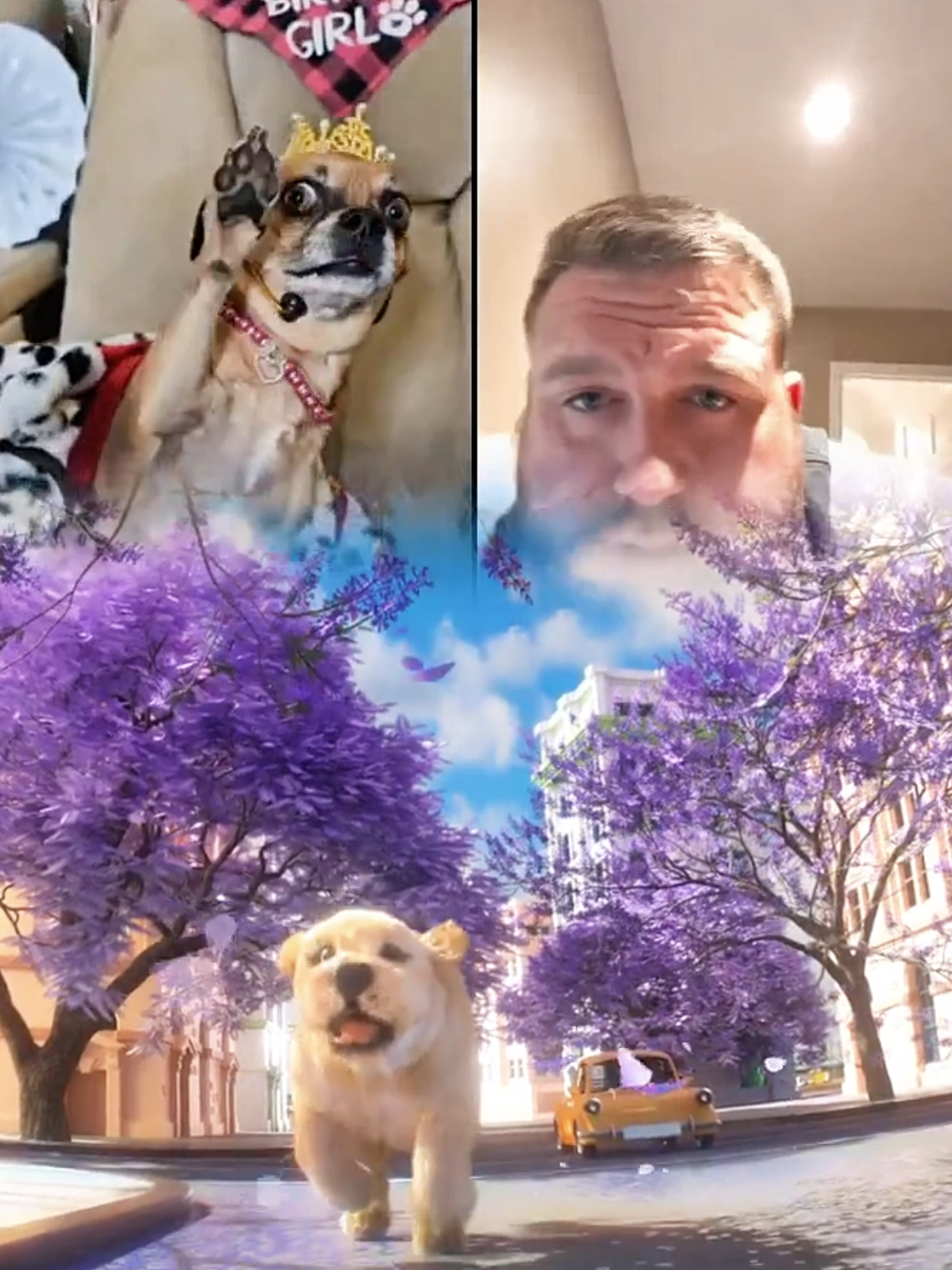 Thank you Team Paws Up! All your supoort in PawsVsClaws means so much! The Pack Family is amazing! #tiktoklive #livehighlights #kimbaandfriends #livegift #pawsvsclaws 