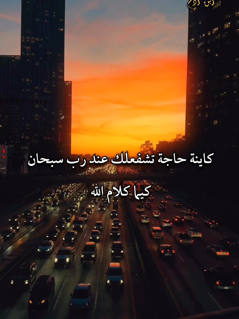 إن سورة من القرآن ثلاثون آية شفعت لرجل حتى غفر له ✍️ #aimennouicer #القرآنالكريم #القران_حياة #القران_ مدح#القرانالكريم_ربيع_قلبي_ونور_صدري    ذ 