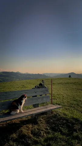 Watching the sunset <3 