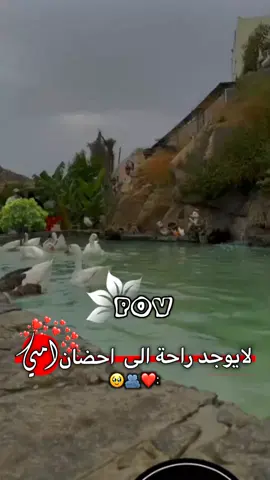 اللهم احفظ امي بحفظك 🙏😔 مجرد ذوووق 🤎🪶