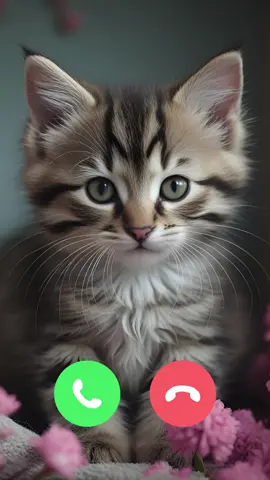 John Calling #ringtone #viral #xiomi #cat #tiktok #kitten #calling #trending #foryou #catlover 