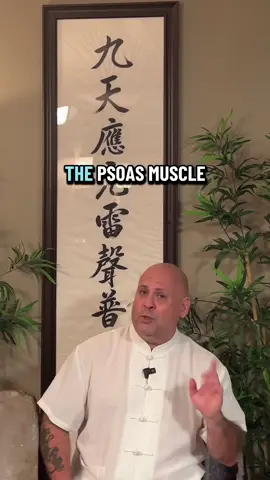 The Psoas (pronounced so as) muscle plays a critical role in how your back functions and the realization of back pain, or wellbeing.  For more information check out my book ‘Chris Shelton’s Easy Guide to Fix Neck and Back Pain.’ #b#backpainb#backpainreliefb#backpainexercisesq#qigongf#fyp