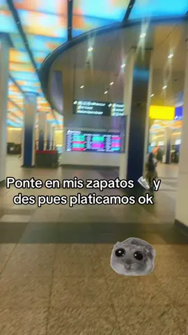#pontemiszapatos #antesdecriticar #soloyoseloqueesufrido#🙌😭