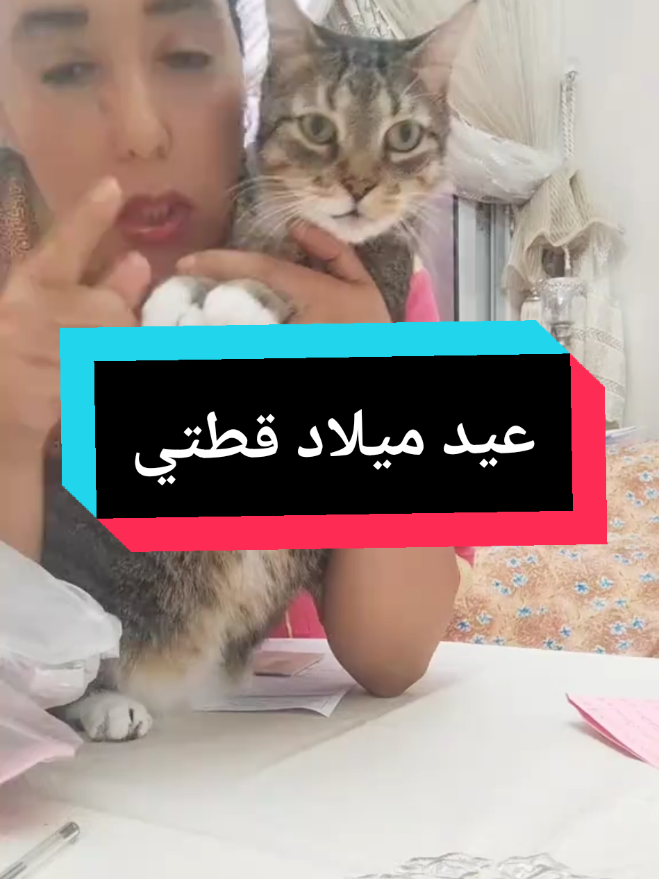 #القطوة #قطتي #catsoftiktok #عيد_ميلاد_قطتي 