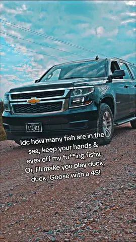 #trucksoftiktok #fyp #trucktok #southernbelle #truckcommunity 